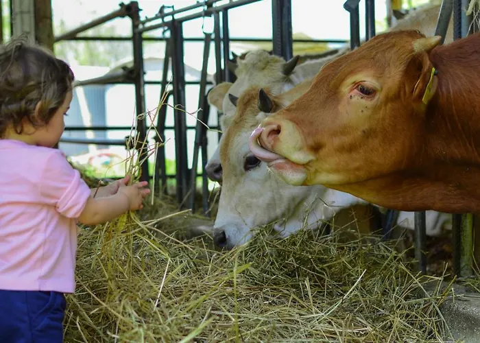 Rivoli 팜스테이 *