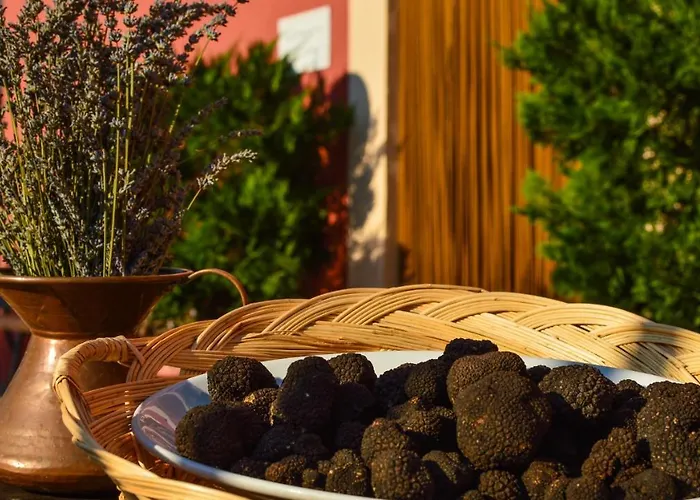 Rivoli 팜스테이 스폴레토